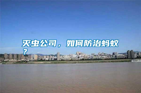 滅蟲公司，如何防治螞蟻？