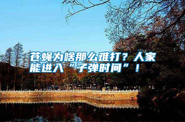 蒼蠅為啥那么難打？人家能進(jìn)入“子彈時(shí)間”！