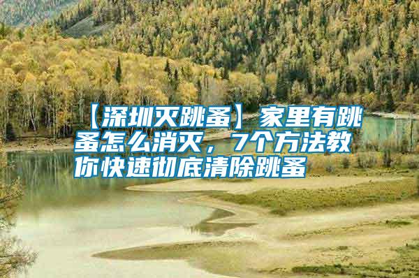 【深圳滅跳蚤】家里有跳蚤怎么消滅，7個(gè)方法教你快速?gòu)氐浊宄?/></p>
             <p style=