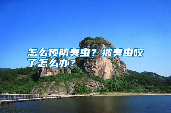怎么預(yù)防臭蟲？被臭蟲咬了怎么辦？