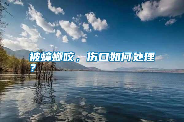 被蟑螂咬，傷口如何處理？