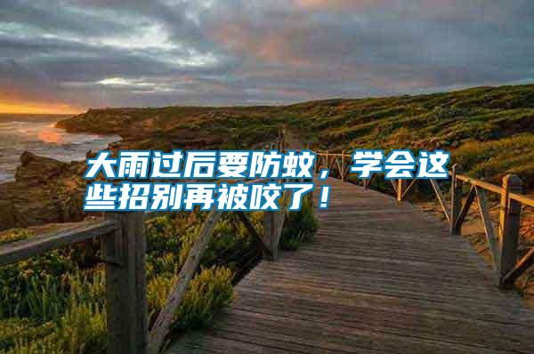 大雨過后要防蚊，學會這些招別再被咬了！