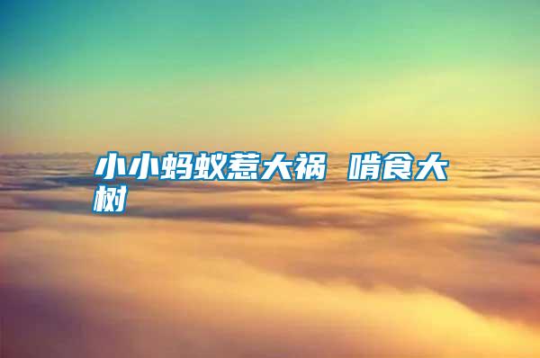 小小螞蟻惹大禍 啃食大樹(shù)