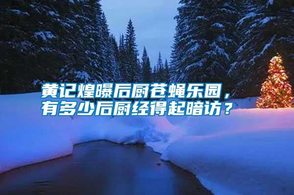 黃記煌曝后廚蒼蠅樂園， 有多少后廚經(jīng)得起暗訪？