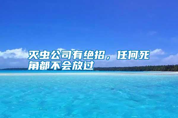 滅蟲公司有絕招，任何死角都不會放過