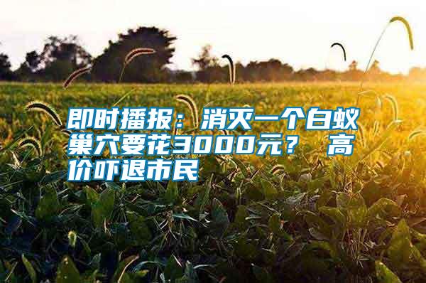 即時播報：消滅一個白蟻巢穴要花3000元？ 高價嚇退市民