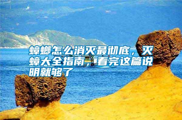 蟑螂怎么消滅最徹底，滅蟑大全指南，看完這篇說明就夠了