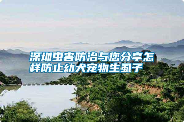 深圳蟲(chóng)害防治與您分享怎樣防止幼犬寵物生虱子