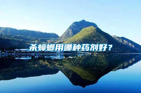 殺蟑螂用哪種藥劑好？