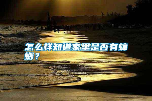 怎么樣知道家里是否有蟑螂？