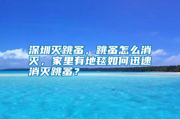 深圳滅跳蚤，跳蚤怎么消滅，家里有地毯如何迅速消滅跳蚤？