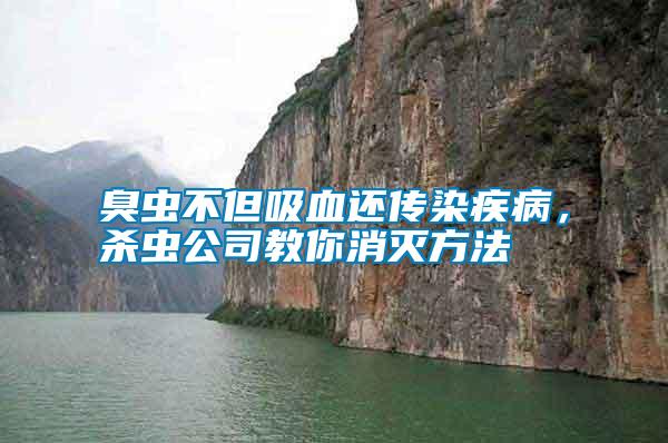 臭蟲不但吸血還傳染疾病，殺蟲公司教你消滅方法