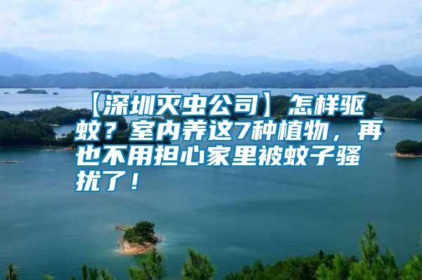 【深圳滅蟲公司】怎樣驅蚊？室內養(yǎng)這7種植物，再也不用擔心家里被蚊子騷擾了！