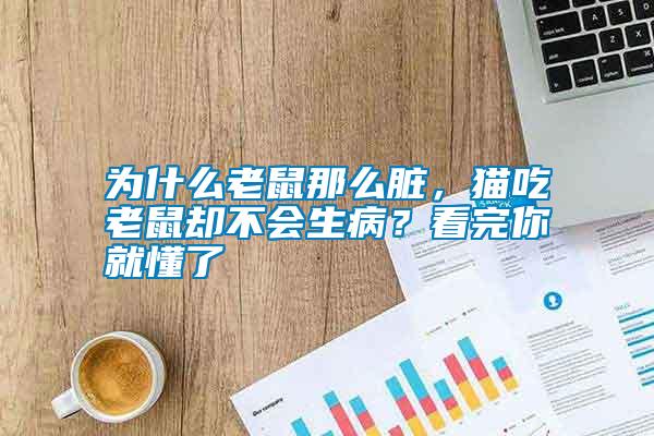 為什么老鼠那么臟,貓吃老鼠卻不會(huì)生???看完你就懂了