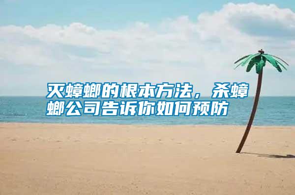滅蟑螂的根本方法，殺蟑螂公司告訴你如何預(yù)防