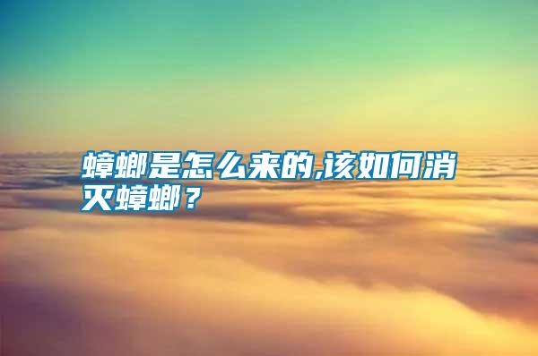 蟑螂是怎么來(lái)的,該如何消滅蟑螂？