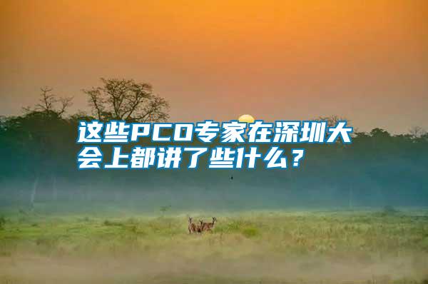 這些PCO專家在深圳大會上都講了些什么？