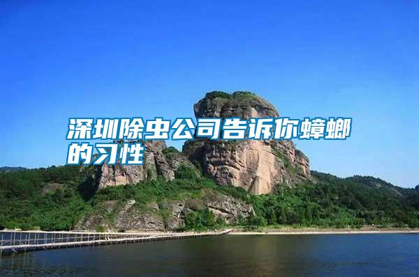 深圳除蟲(chóng)公司告訴你蟑螂的習(xí)性