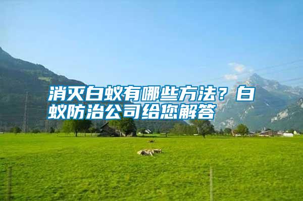 消滅白蟻有哪些方法？白蟻防治公司給您解答