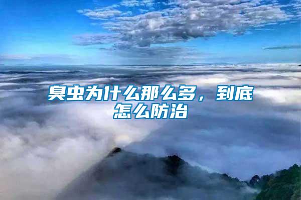 臭蟲為什么那么多，到底怎么防治