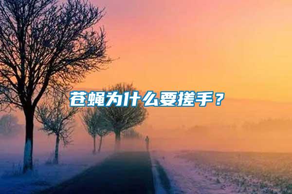蒼蠅為什么要搓手？