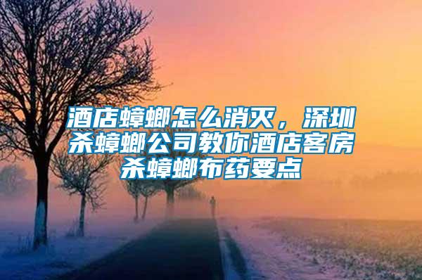 酒店蟑螂怎么消滅，深圳殺蟑螂公司教你酒店客房殺蟑螂布藥要點(diǎn)