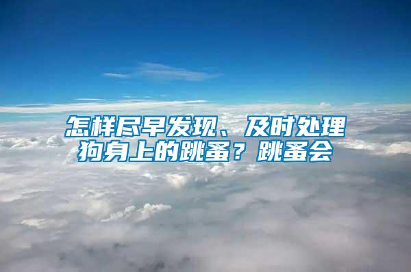 怎樣盡早發(fā)現(xiàn)、及時(shí)處理狗身上的跳蚤？跳蚤會(huì)