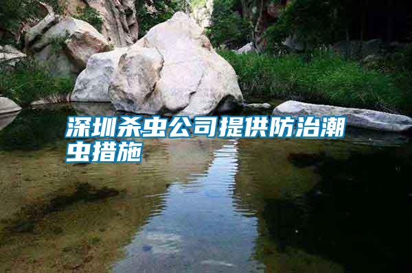 深圳殺蟲(chóng)公司提供防治潮蟲(chóng)措施