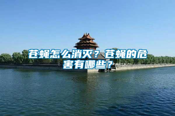蒼蠅怎么消滅？蒼蠅的危害有哪些？