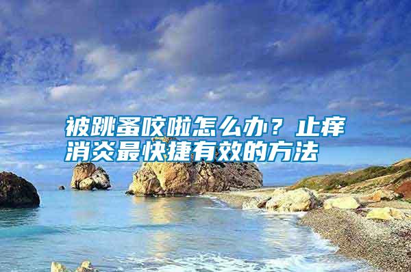 被跳蚤咬啦怎么辦？止癢消炎最快捷有效的方法