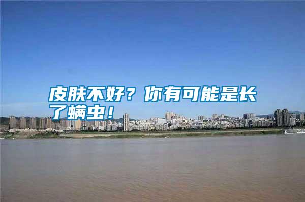 皮膚不好？你有可能是長了螨蟲！