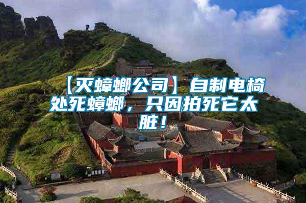 【滅蟑螂公司】自制電椅處死蟑螂，只因拍死它太臟！