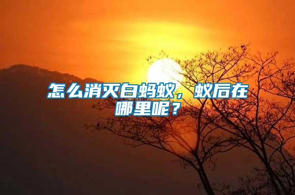 怎么消滅白螞蟻，蟻后在哪里呢？