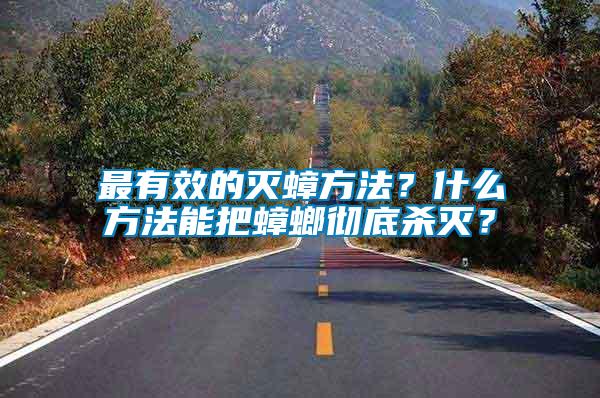 最有效的滅蟑方法？什么方法能把蟑螂徹底殺滅？