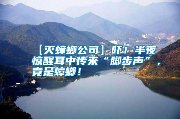【滅蟑螂公司】嚇！半夜驚醒耳中傳來“腳步聲”，竟是蟑螂！