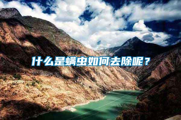什么是螨蟲如何去除呢？