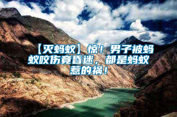 【滅螞蟻】驚！男子被螞蟻咬傷竟昏迷，都是螞蟻惹的禍！