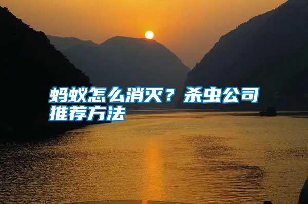 螞蟻怎么消滅？殺蟲(chóng)公司推薦方法