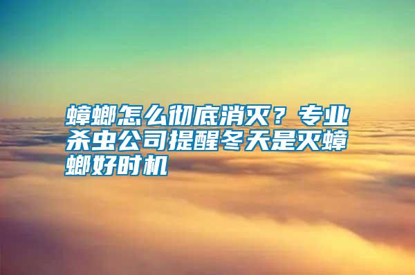 蟑螂怎么徹底消滅？專業(yè)殺蟲公司提醒冬天是滅蟑螂好時機
