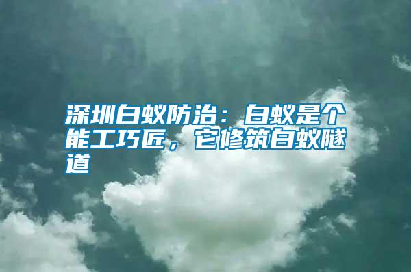 深圳白蟻防治：白蟻是個(gè)能工巧匠，它修筑白蟻隧道