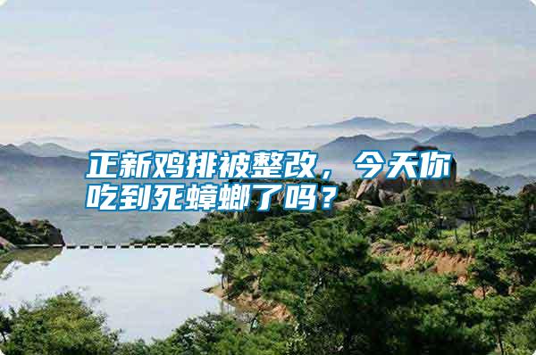 正新雞排被整改，今天你吃到死蟑螂了嗎？