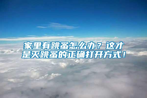 家里有跳蚤怎么辦？這才是滅跳蚤的正確打開方式！