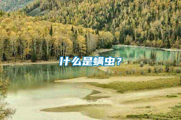 什么是螨蟲？