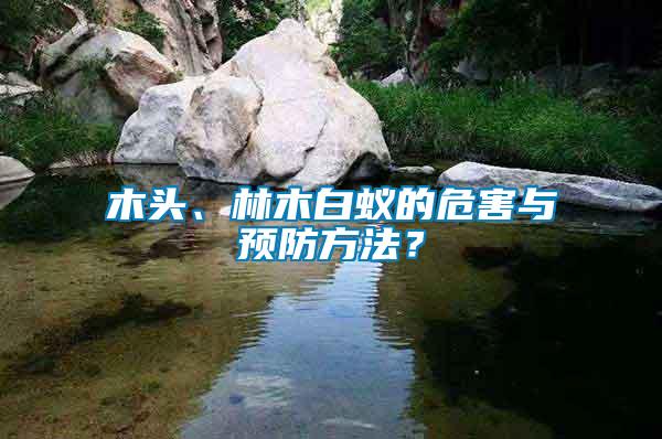 木頭、林木白蟻的危害與預(yù)防方法？