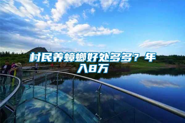 村民養(yǎng)蟑螂好處多多？年入8萬