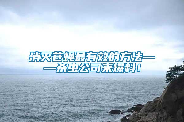 消滅蒼蠅最有效的方法——殺蟲公司來爆料！