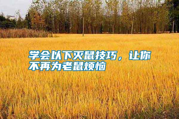 學(xué)會(huì)以下滅鼠技巧，讓你不再為老鼠煩惱