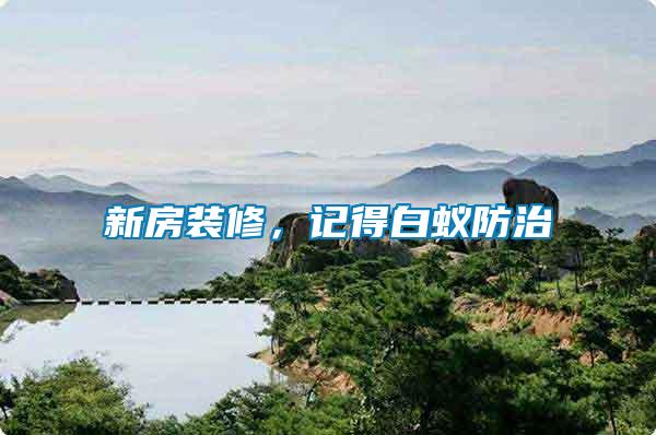 新房裝修，記得白蟻防治