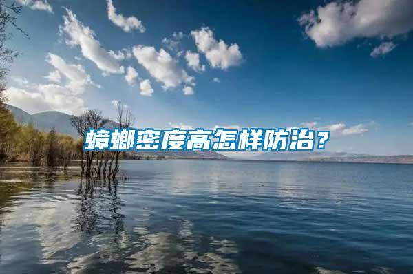 蟑螂密度高怎樣防治？