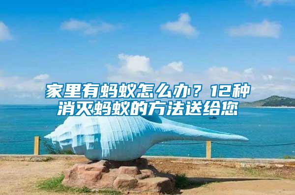 家里有螞蟻怎么辦？12種消滅螞蟻的方法送給您